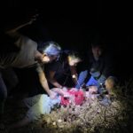 Kapolres Bangka Barat: Pelaku Pencurian di Warkop Ditemukan Membawa Sajam