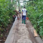 Pavingisasi Dusun Padangbaru Desa Pesucen Menuai Pujian Dari Masyarakat
