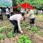Polsek Wori Giat Tanam Jagung Serentak Kuartal IV Polri Tahun 2025 Di lokasi Lahan Ketahanan Pangan Desa Talawaan Atas Kecamatan Wori kabupaten Minahasa Utara