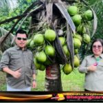 Pemerintah Sulawesi Utara Dorong Pemerintah Pusat dan investor Global Melirik potensi industri Kelapa Terbesar di Indonesia